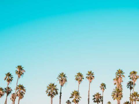 How Ten Minutes of Decluttering a Day Can Improve Mental Clarity