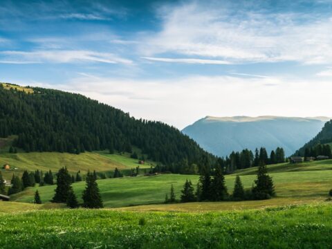 The 5-Minute Morning Reset That Instantly Calms an Overactive Mind