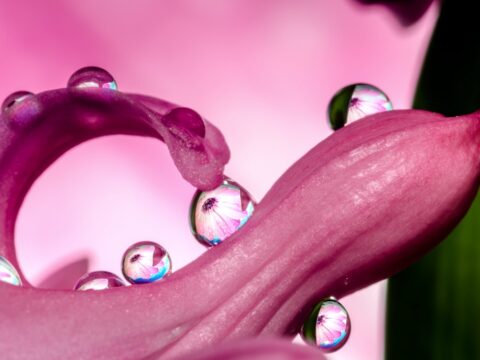 AI-Powered Dropshipping: The New Edge for One-Person E-Commerce Stores